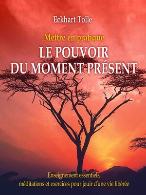 cover image of Mettre en pratique le pouvoir du moment présent